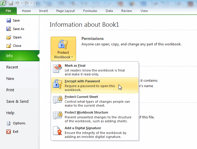 forgotten password to unprotect workbook sheet excel 2007