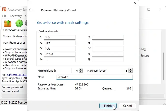 Positional mask configuration window in Passcovery programs