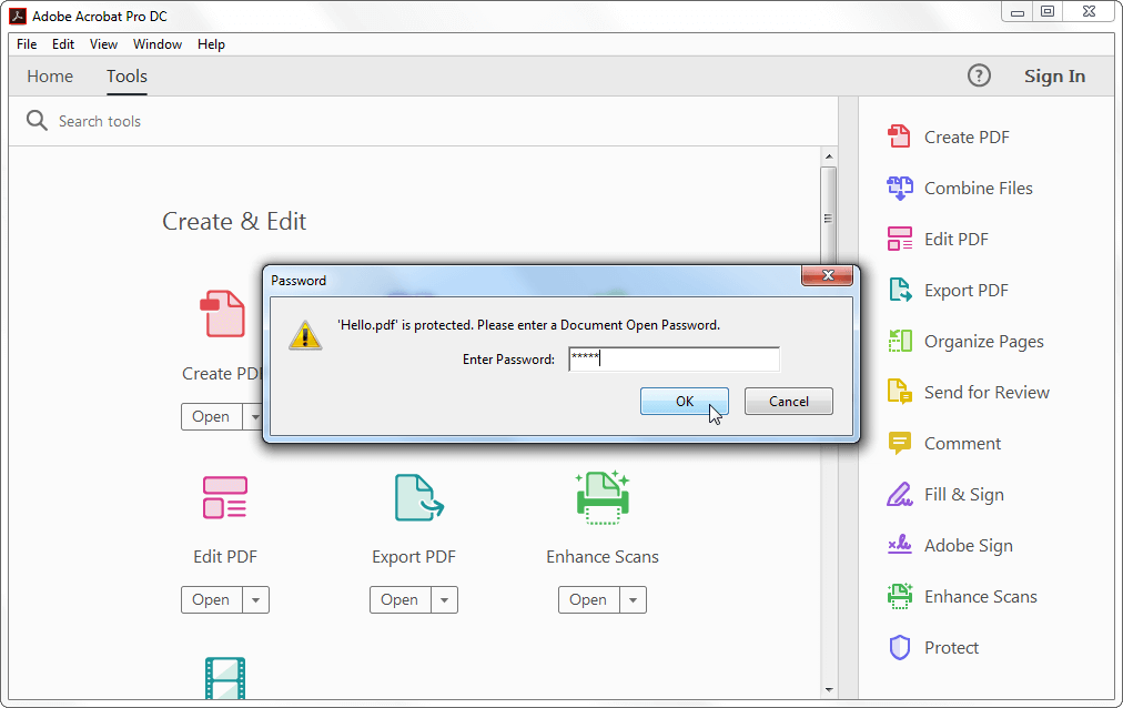 Password entry window in Adobe Acrobat Pro DC