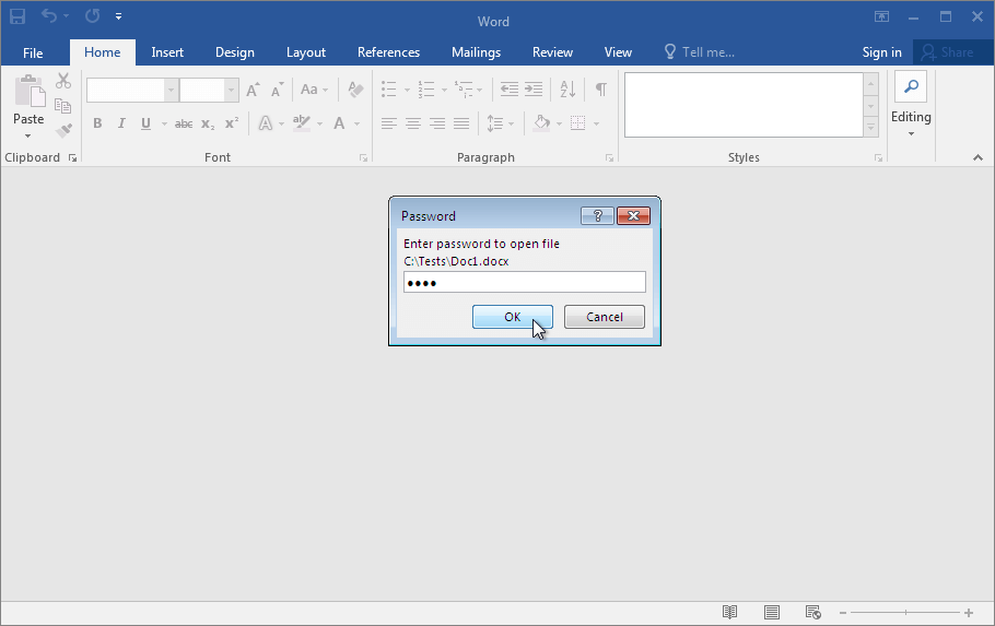 Password to Open enter box in Microsoft Word 