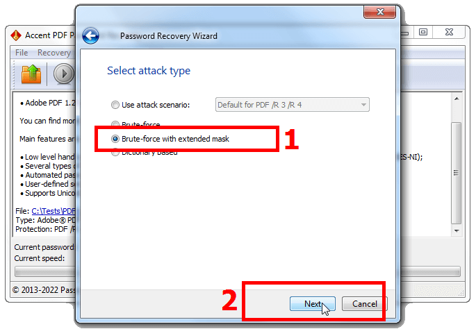 Choosing an advanced brute force attack with a password mask in AccentPPR