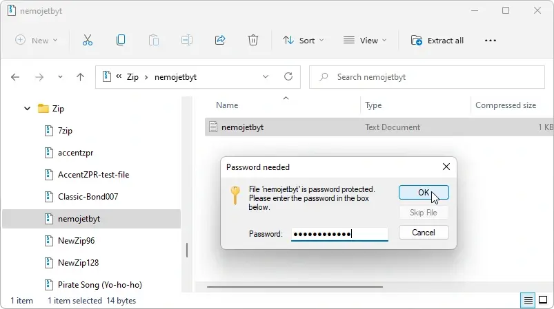 Opening a zip archive in Windows 11 Explorer