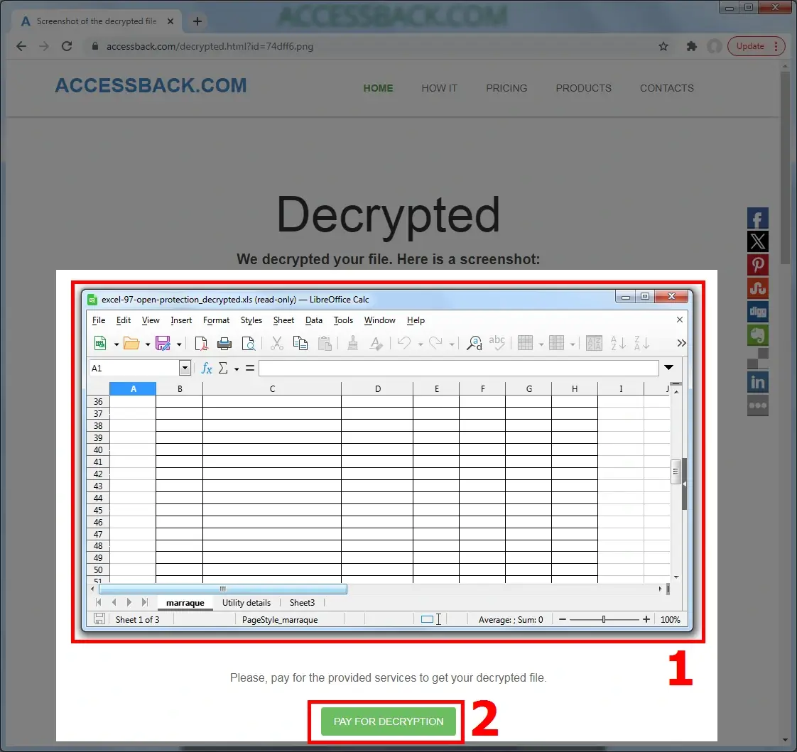 AccessBack.com. Step four: look at the decrypted data, make sure you are successful