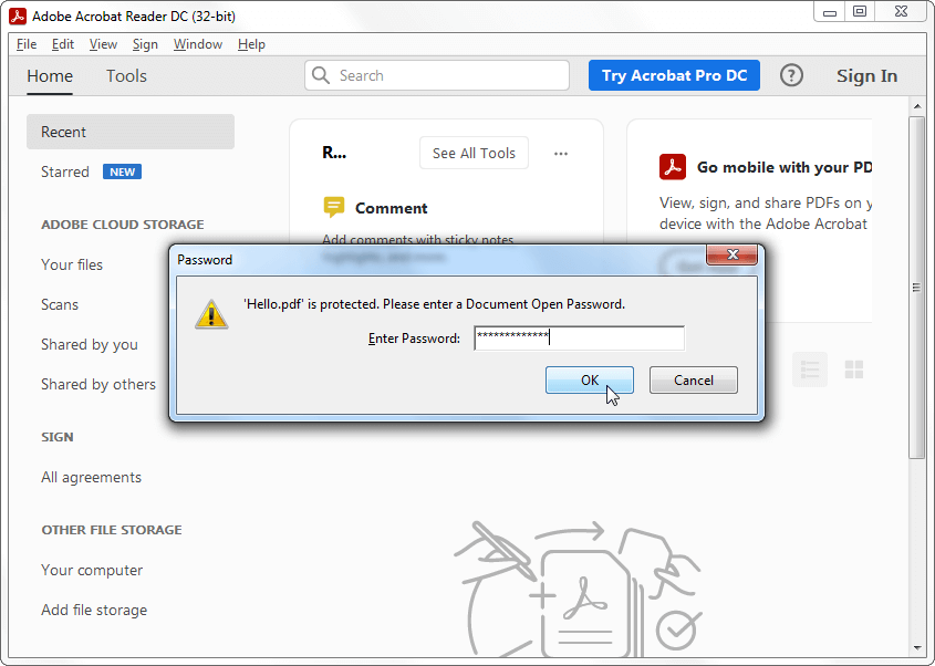 Adobe Acrobat Reader interface when opening a password-protected PDF file