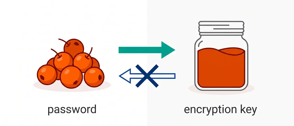 You can cook berries into jam, but you can't get the berries back out of the jam: that's how a password turns into an encryption key